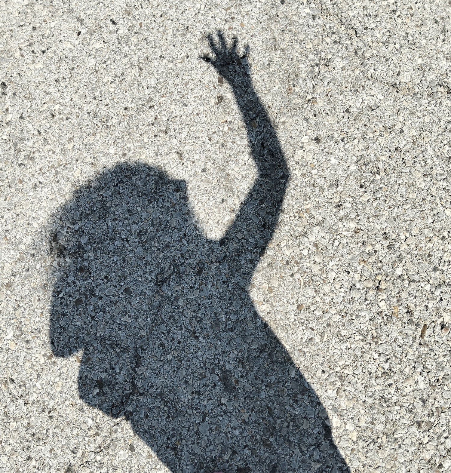 Conceptual photography of the artist's shadow awaiting transformation, serving as the cover for States of Becoming Contemporary Art Collection by TRAXI.