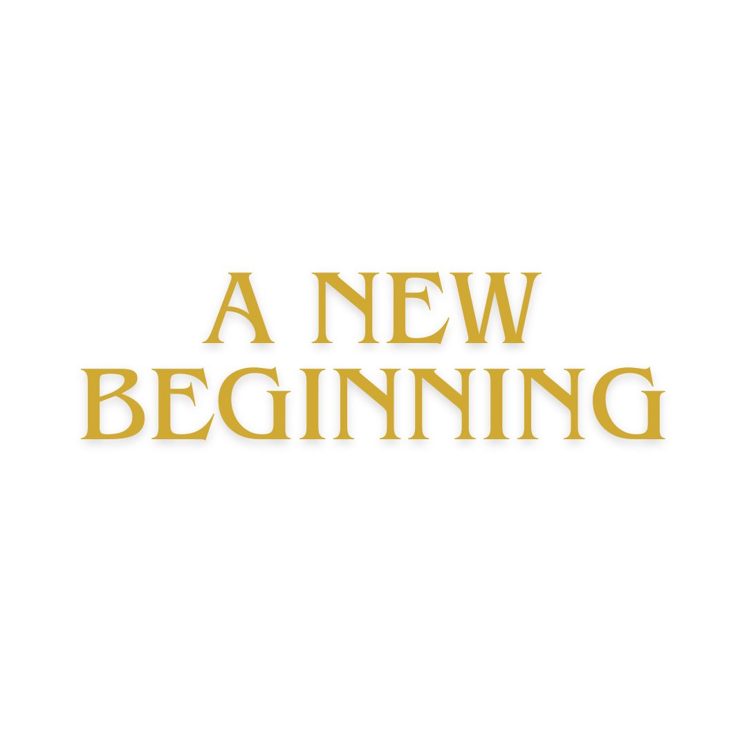 LIFE IS WONDERFUL — A Virtual Fine Art Solo Exhibition by Diana Dimova TRAXI. Art Project inspired by Nature, exploring Time. The phrase 'A NEW BEGINNING' is displayed in a decorative serif font in a warm gold color, centered on a plain white background.
