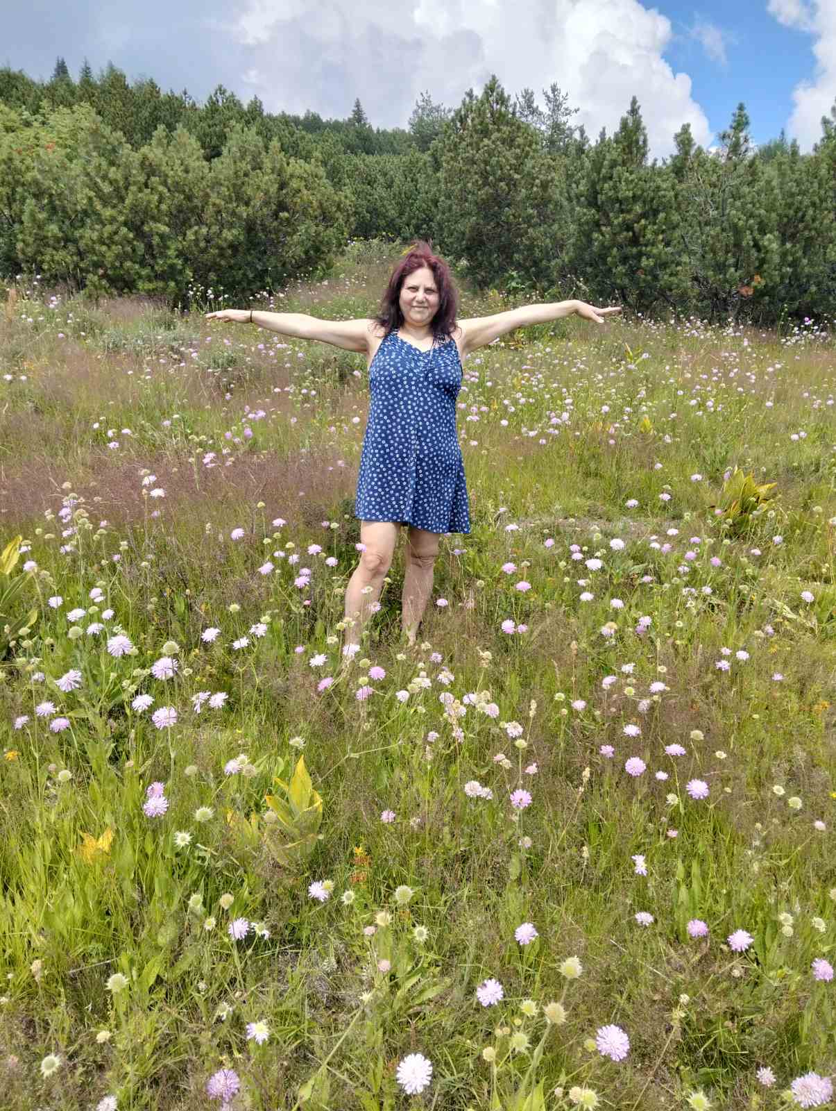LIFE IS WONDERFUL — A Virtual Fine Art Solo Exhibition by Diana Dimova TRAXI. Art Project inspired by Nature, exploring Time. A woman with red hair wearing a blue patterned sleeveless dress stands in a wildflower meadow with her arms outstretched, with a forest and cloudy sky in the background.